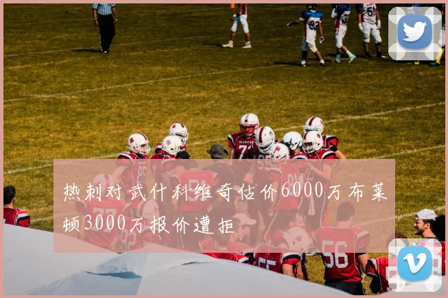 热刺对武什科维奇估价6000万布莱顿3000万报价遭拒